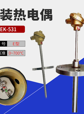 上海WREK-531热电偶e型 液体低温活动探针式控温线 温度感应探头