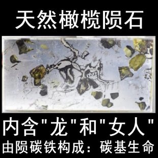 三星堆西王母造像生物化石橄榄铁陨石牌子龙牌切片赛阜康陨石陨铁