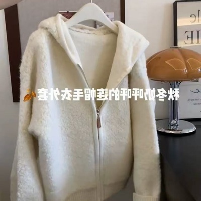连帽仿羊羔毛绒颗粒绒毛衣女秋冬