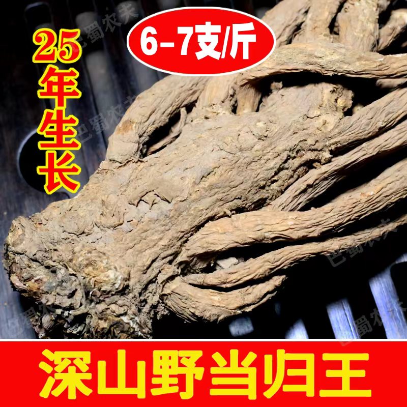 25年純野生特級岷縣當歸中藥材