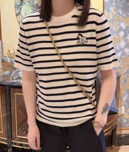 欧洲站2026春季新款女装欧货刺绣小马条纹短袖T恤女绢丝针织衫