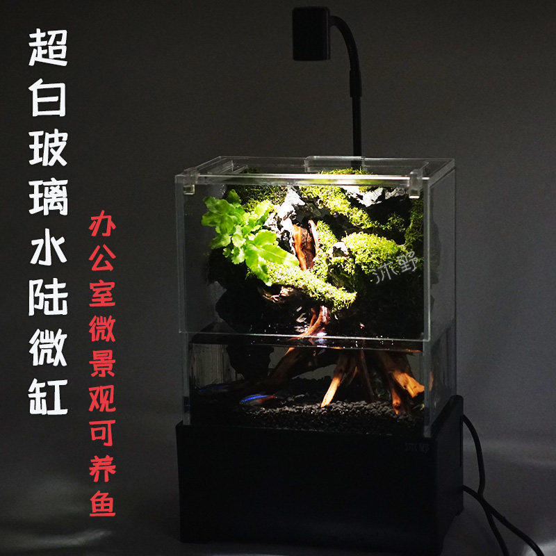 沐野水陆微缸螃蟹苔藓植物生态缸