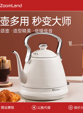 美国卓朗电热水壶家用手冲壶泡茶专用挂耳咖啡壶复古功夫茶烧水壶