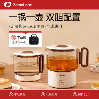 美国卓朗养生壶玻璃电热煮茶炖煮一体2025新款小型办公室家用迷你