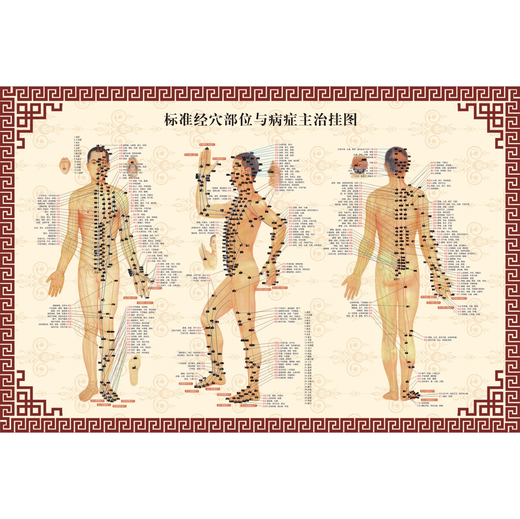 人体病症主治穴位图高清