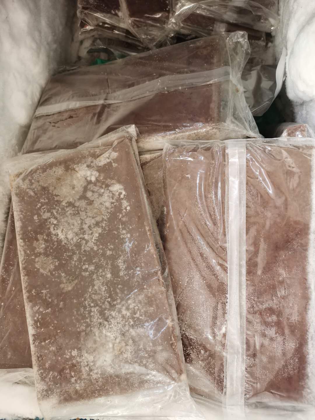 鱼房自用丰年虾成虫有虾红素