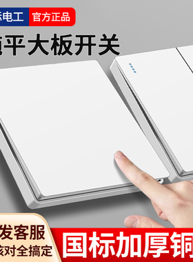 国际电工白色家用双控开关面板86型暗装床头一开双联单开一灯二控