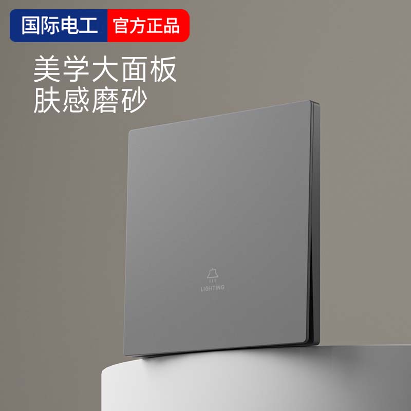 国际电工冷灰一开单控开关面板