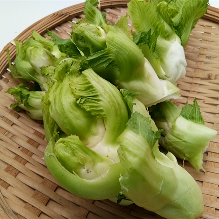 温州农家蔬菜鲜儿菜九头菜观音菜当季时蔬1斤半左右