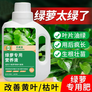 绿萝营养液肥料专用肥室内盆栽绿箩水培营养液水养花卉植物通用型