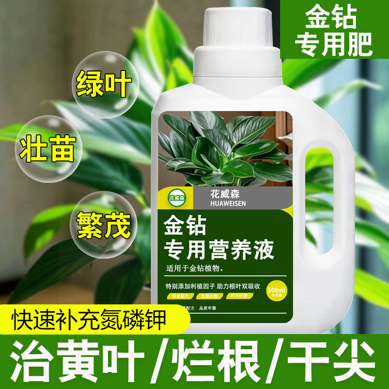 金钻营养液盆栽室内水培植物家庭大叶金钻专用肥改善黄叶水溶肥料,鲜花速递/花卉仿真/绿植园艺,家庭园艺肥料,淘宝优惠券,粉丝福利购,淘宝优惠卷