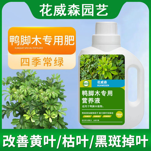 鸭脚木专用营养液鸭掌木专用肥鹅掌木室内绿叶盆栽通用水溶液体肥