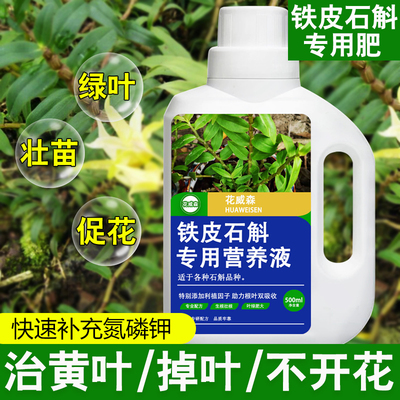 【花威森】铁皮石斛营养液促开花