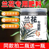 包邮 兰花专用肥料 长效专用缓释肥 益生菌通用有机复合肥 专用肥