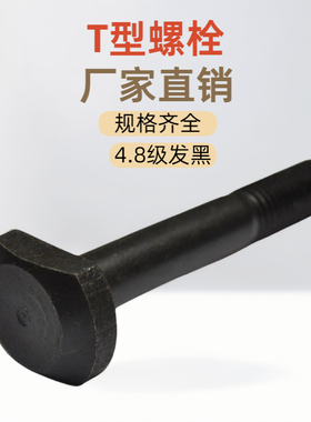 GB37T型槽用螺栓 t形螺丝 压板螺丝 t型螺丝M M6M8M10M12M16-M30