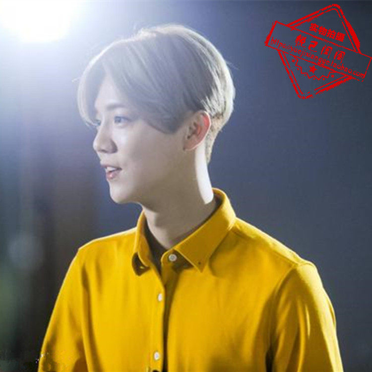 Perruque cheveux raides Court - Ref 2610031 Image 5