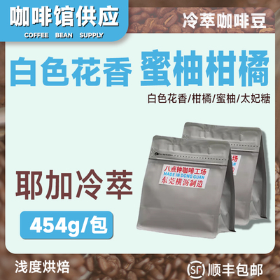 八点钟咖啡 埃塞俄比亚水洗耶加雪菲冷泡冷萃专用咖啡豆454g