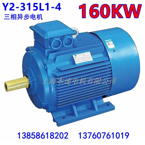Y2系列三相异步电动机Y2-315L1-4 160KW千瓦三相异步电机马达国标