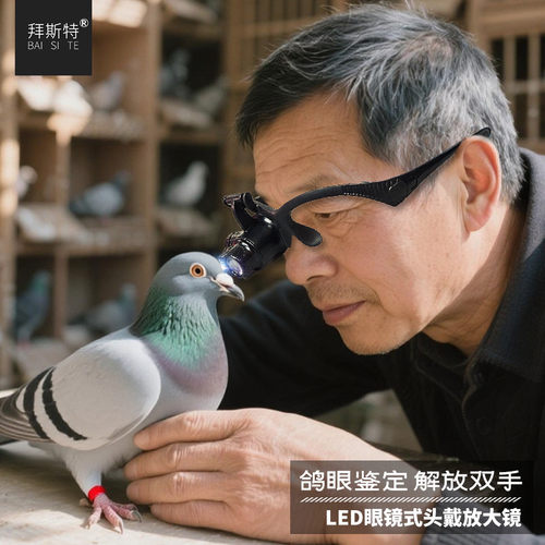 头戴放大镜鸽子鉴定带灯看鸽眼