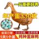 纯种麻鸭活苗一斤高产绿壳蛋鸭苗小鸭苗下蛋鸭脱温鸭水鸭土鸭活