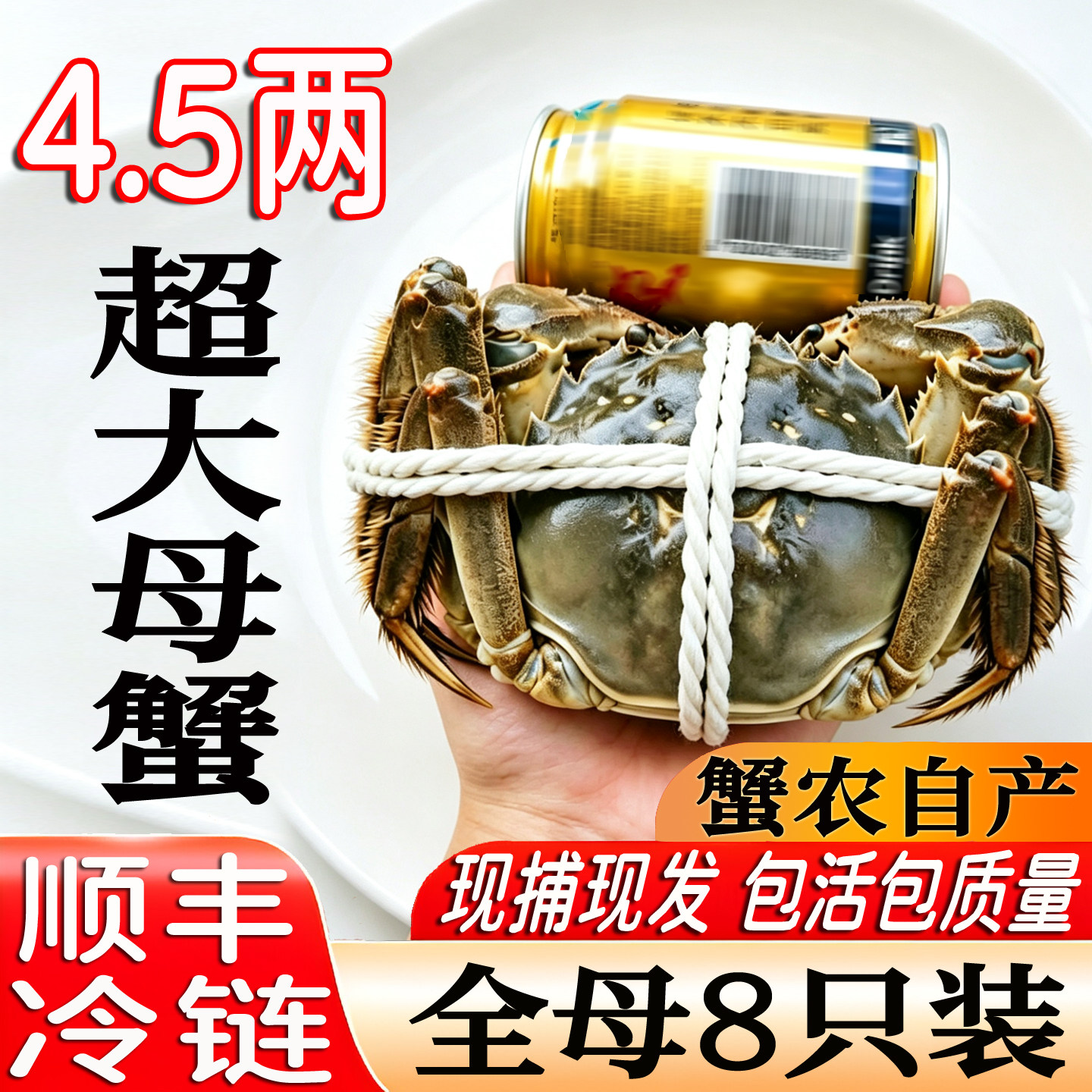 兴化大闸蟹超大母蟹4.5两8只包肥