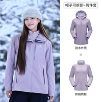 【Classic Dupont】 Lilac Purple, Женская модель, A9W114120-1X