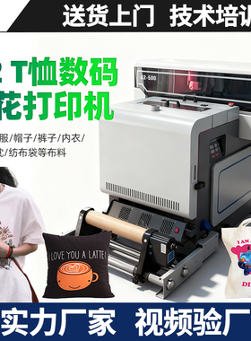 DTFA2双喷头打印机纺织服装牛仔印花图案动漫卡通T恤卫衣定制烫画