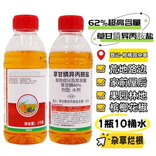 62%草甘膦异丙胺盐杂草烂根除草剂柑橘果园荒地槟榔香蕉花椒除草