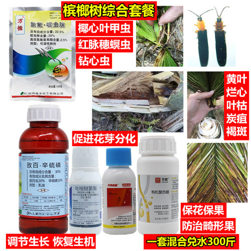 槟榔农药椰心甲虫钻心虫蚂蚁马陆黄叶病保花保果增产果树通用套餐