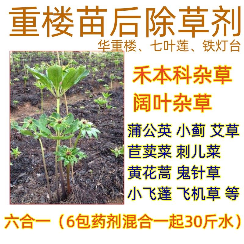 重楼苗后除草剂阔叶草尖叶草烂根铁灯台玉竹七叶莲华重楼打草药