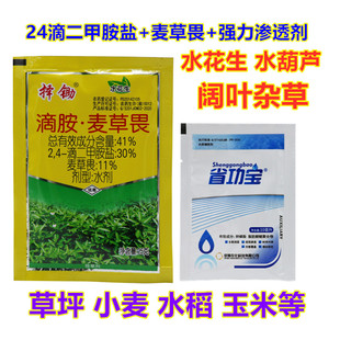 水花生专用除草剂24滴二甲胺盐麦草畏阔叶杂草烂根剂小麦草坪水稻