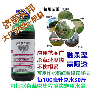 敌草快二氯盐快速死草不伤根果园槟榔香蕉园杀草开荒蔬菜田除草剂