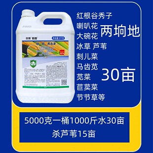 玉米地杀红根谷秀子芦苇马塘冰草30%硝烟莠去津杂草苞米地除草剂