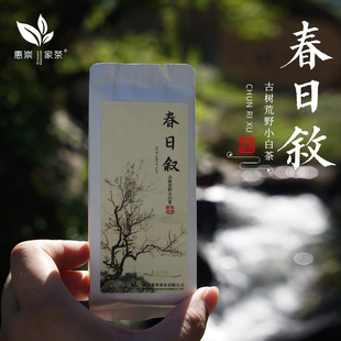 建阳白茶漳墩严川古树荒野小白茶古树茶生态老树茶春日叙