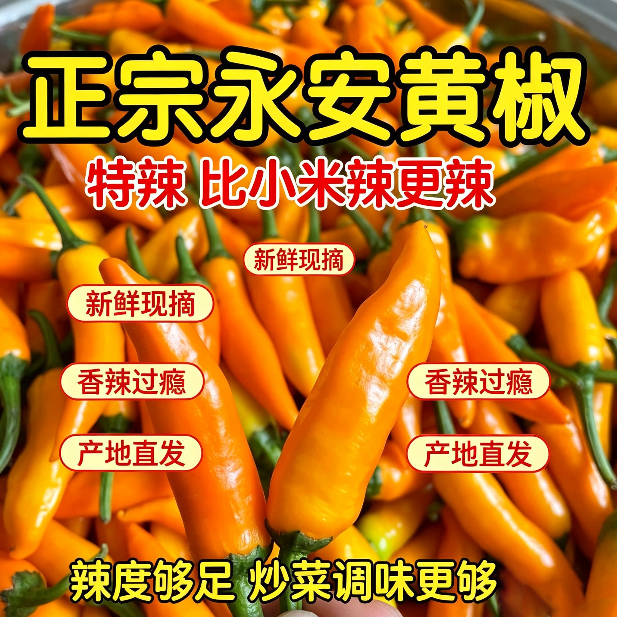 福鼎肉片黄灯笼椒福建永安正宗新鲜黄辣椒黄椒酱小米泡椒农家直发图片