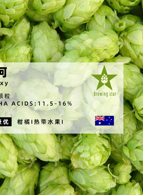 银河啤酒花Galaxy家酿啤酒原料进口颗粒酒花hops精酿原料精品推荐