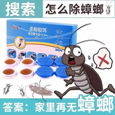 蟑螂药家用全窝端灭蟑螂神器无毒诱饵剂一次全窝绝杀强效第一名