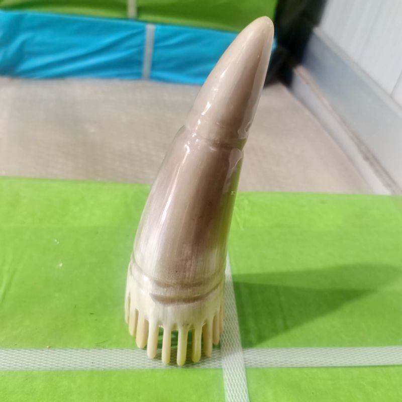 白牛角按摩梳面部经络棒正宗牛角梳大齿梳加工头疗拨筋梳头皮点穴