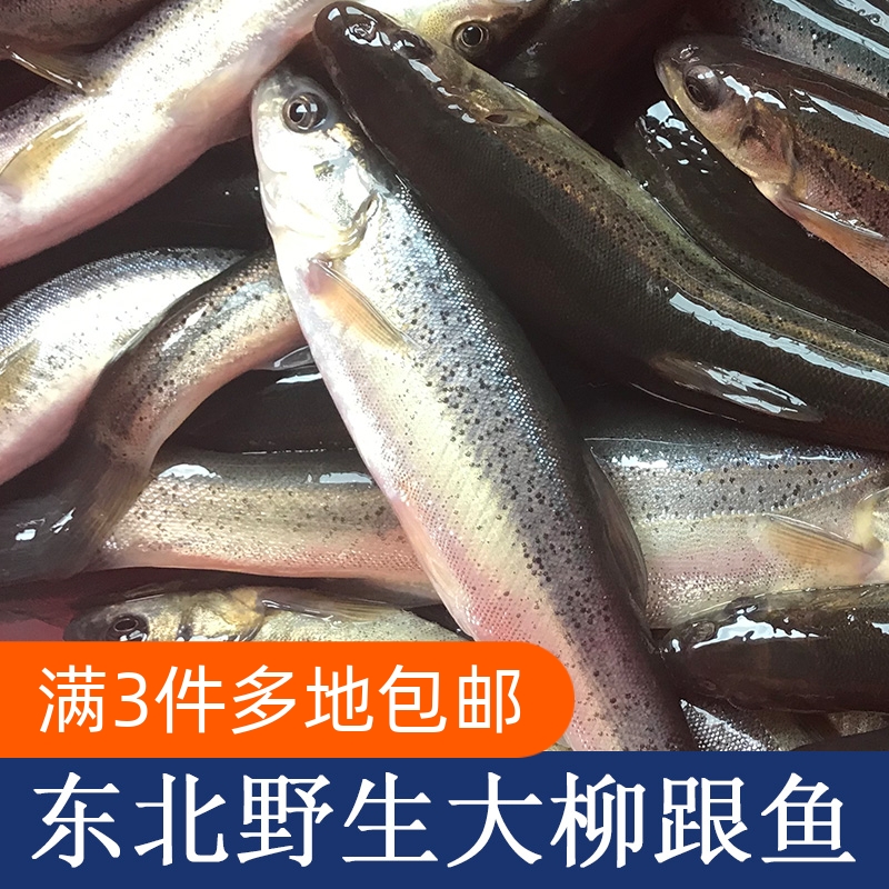 东北特产开江开河大柳根鱼鲜活冷冻真空发货淡水柳跟鱼,水产肉类/新鲜蔬果/熟食,淡水鱼类,淘宝优惠券,粉丝福利购,淘宝优惠卷