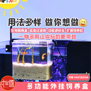 鱼缸隔离盒外挂饲养盒孔雀鱼孵化器热带鱼繁殖盒水晶虾龟苗扩展缸
