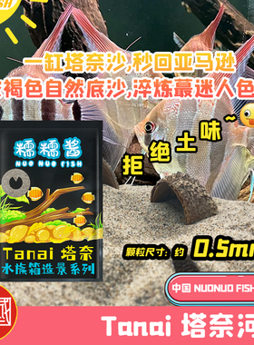 南美原生鱼缸造景鼠鱼装饰化妆沙溪流缸沙石草缸雨林塔奈天然河沙