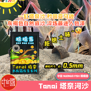 南美原生鱼缸造景鼠鱼装 饰化妆沙溪流缸沙石草缸雨林塔奈天然河沙