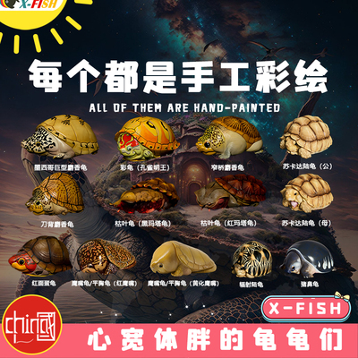 动物星球心宽体胖鱼缸乌龟摆件