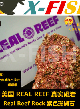 美国RR真实礁岩珊瑚石/海水缸造景死石三湖慈鲷造景石紫色珊瑚石