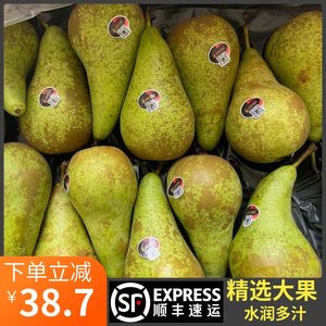 【比利时长啤梨】_比利时长啤梨品牌\/图片\/价