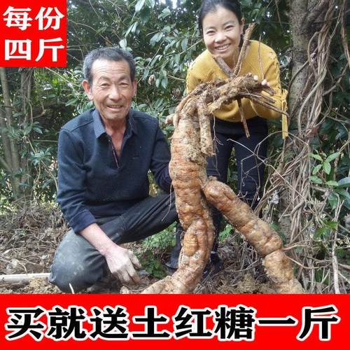 农家江西女性散装野生葛根粉包邮