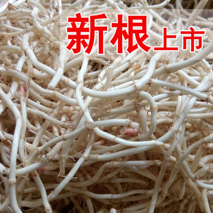 新鲜鱼腥草根 现挖折耳根 凉拌节节根 时令野菜火锅食材 一份包邮
