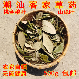 潮汕草药 新晒桃金娘叶子 山捻子叶 岗稔叶 乌当尼叶 干货1斤包邮