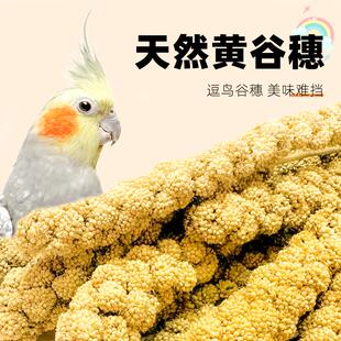 鹦鹉零食棒谷穗麦穗谷子鸟粮饲料训练奖励小零食虎皮玄凤牡丹专用