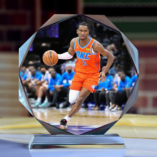 亚历山大手办杰伦格林公仔德罗赞申京人偶波杰姆斯基布克球迷周边